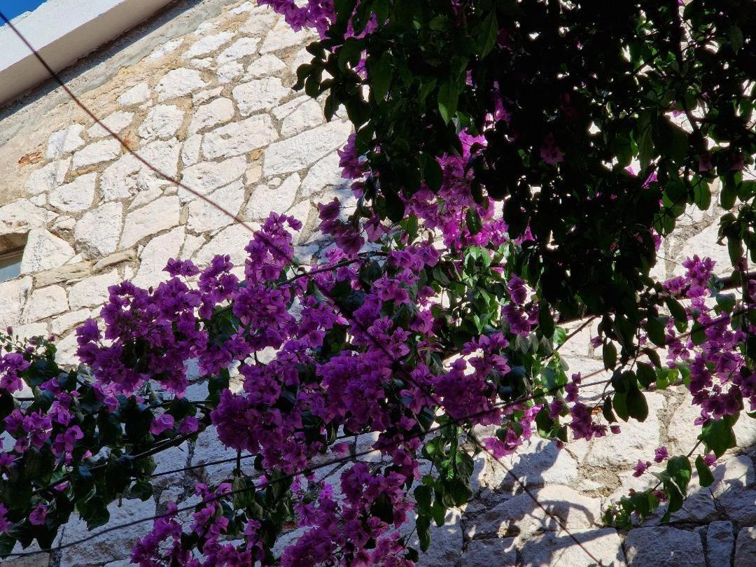 Old Town & Ela Place Split Buitenkant foto